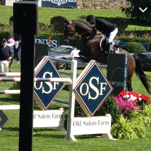 horse clearing a jump